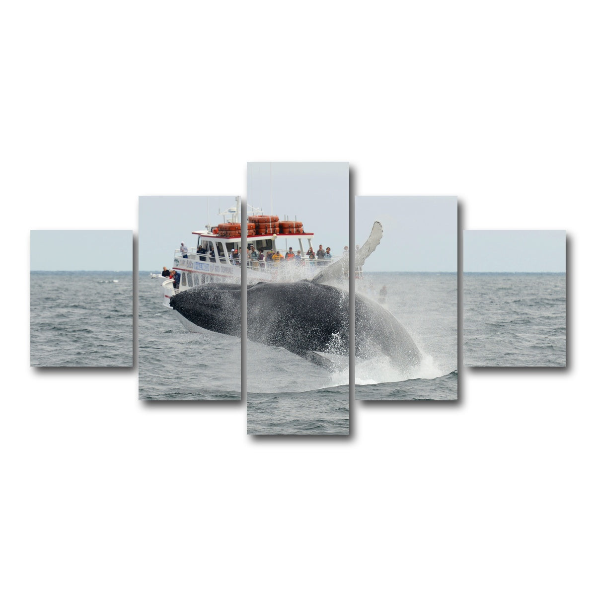 AUTO-MOCKUP WHITE | Humpback - Cape Cod | 5 Piece | Gallery Wrap Canvas | group=5_short