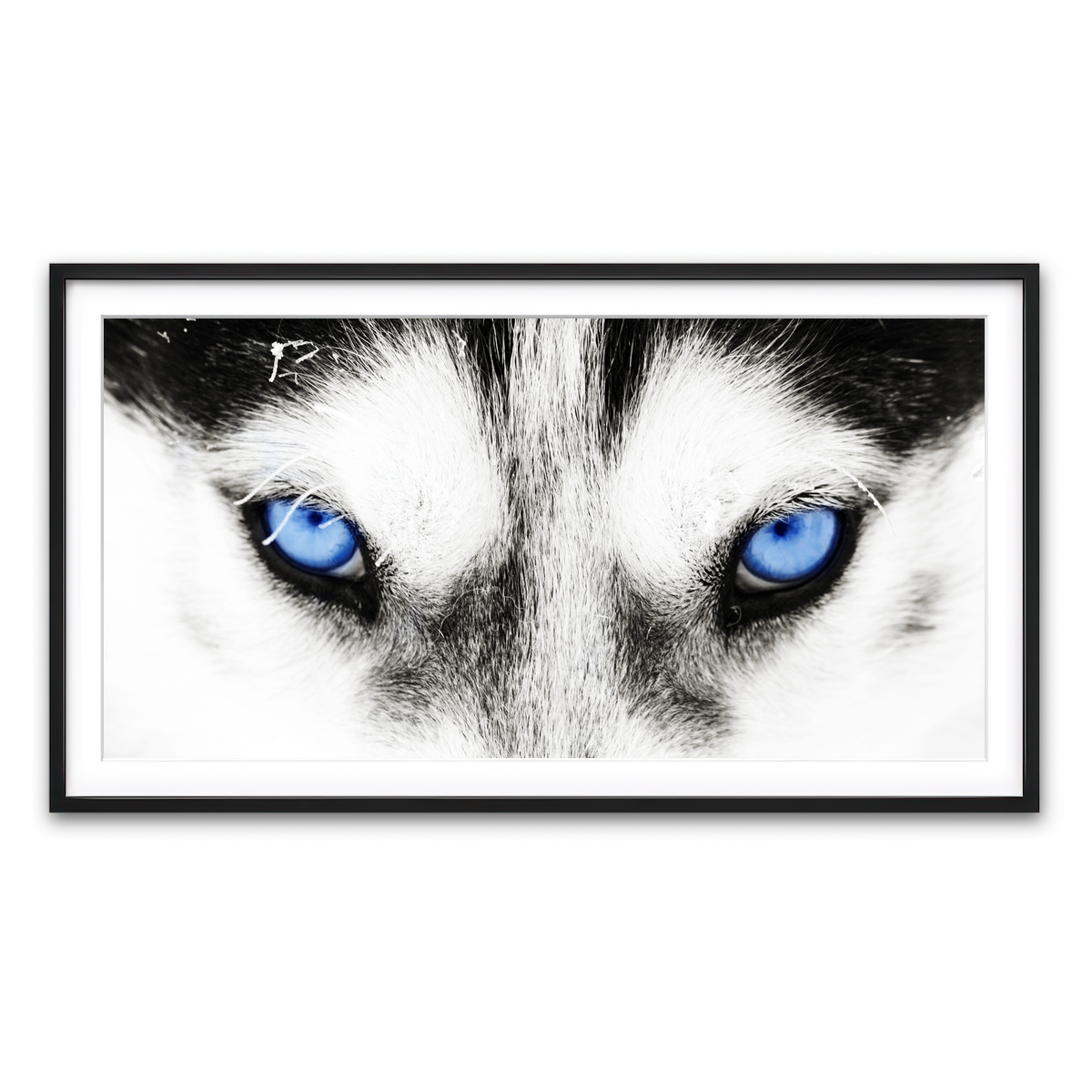 Framed Print 2x1 Black