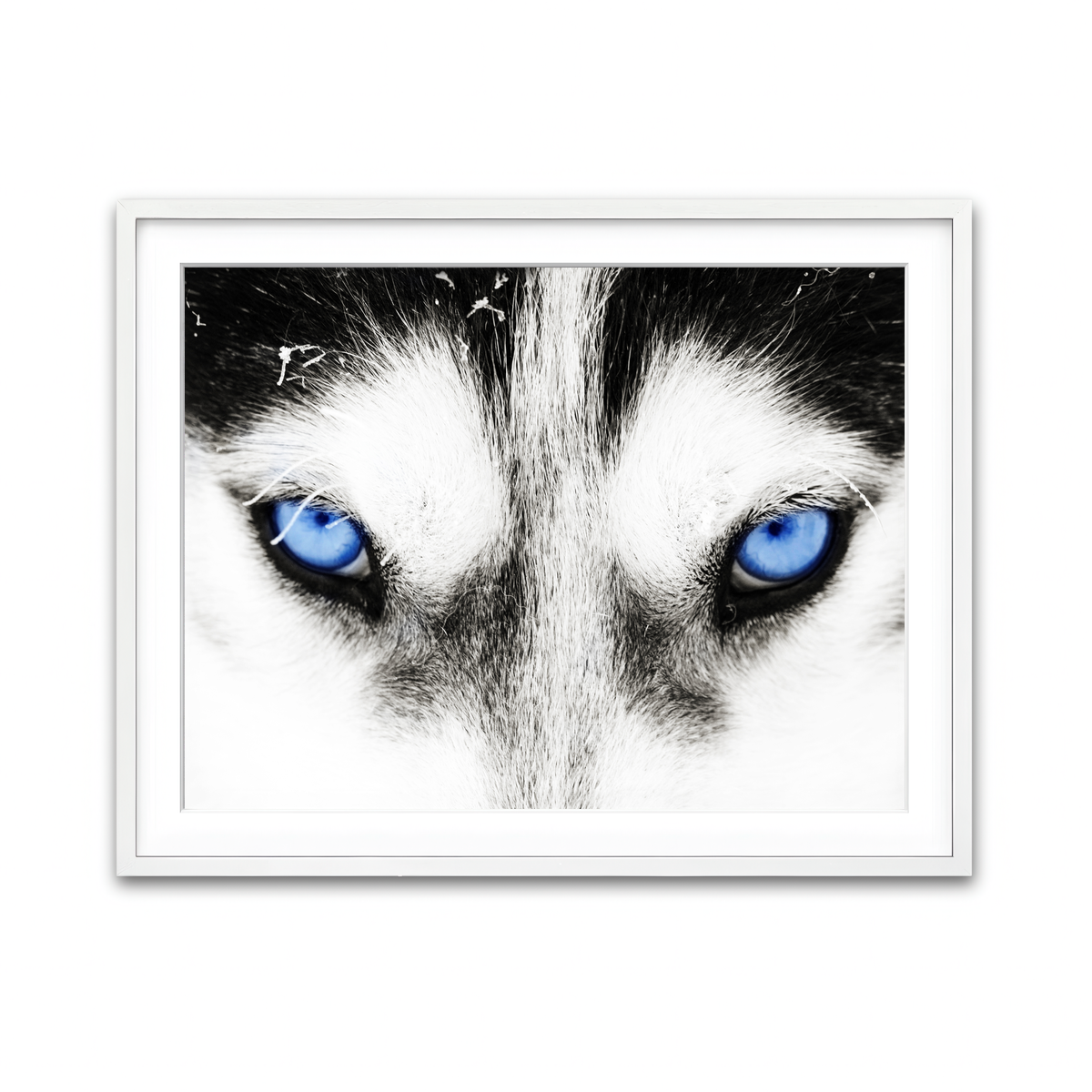 Framed Print 4x3 White