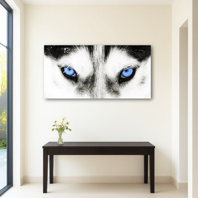 AUTO-MOCKUP ROOM | Husky Blue Eyes