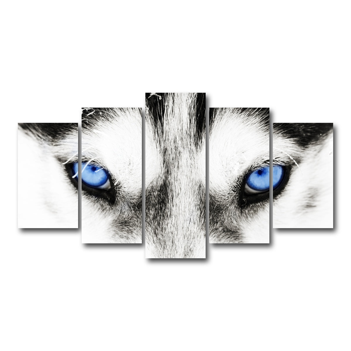AUTO-MOCKUP WHITE | Husky Blue Eyes | 5 Piece | Gallery Wrap Canvas | group=5_normal