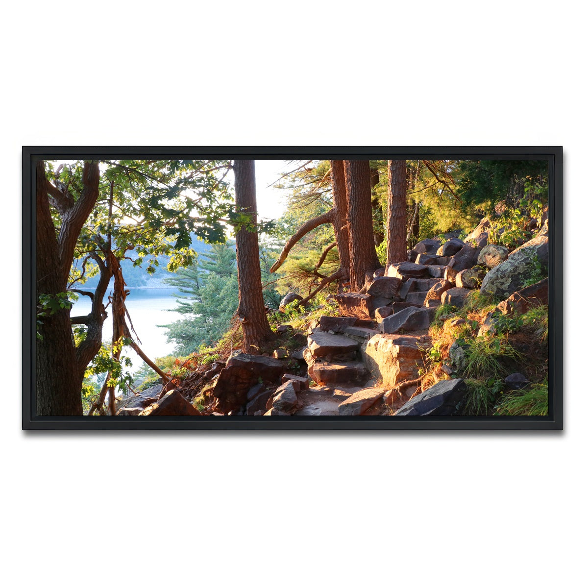 AUTO-MOCKUP WHITE | Ice Age Trail | 1 Piece | Black Framed Canvas | group=2x1