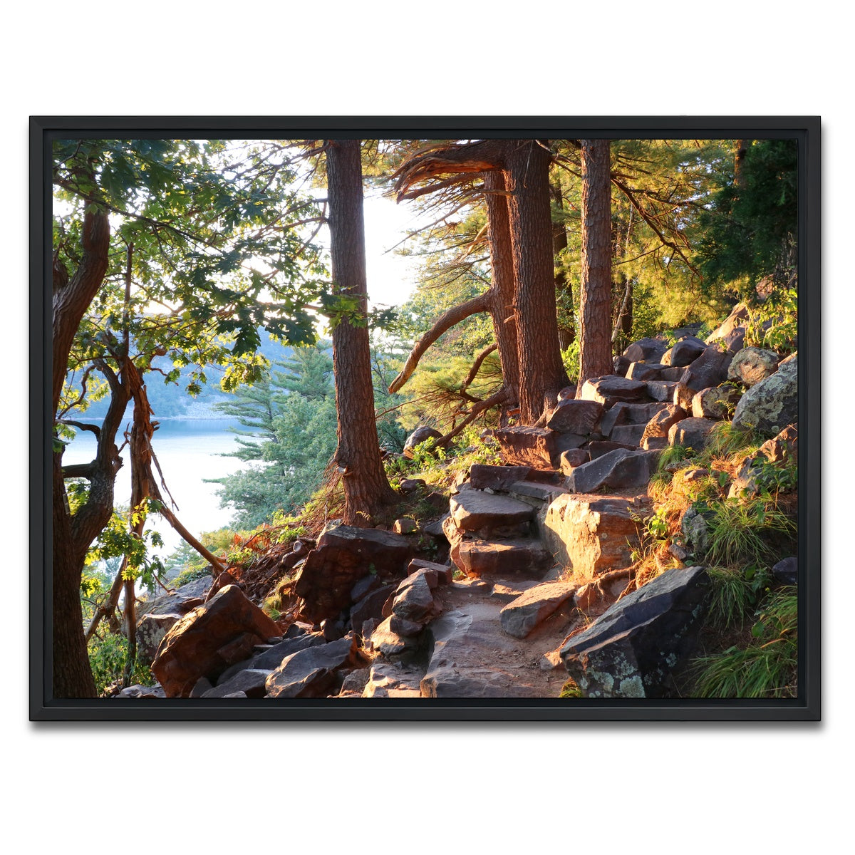 AUTO-MOCKUP WHITE | Ice Age Trail | 1 Piece | Black Framed Canvas | group=4x3