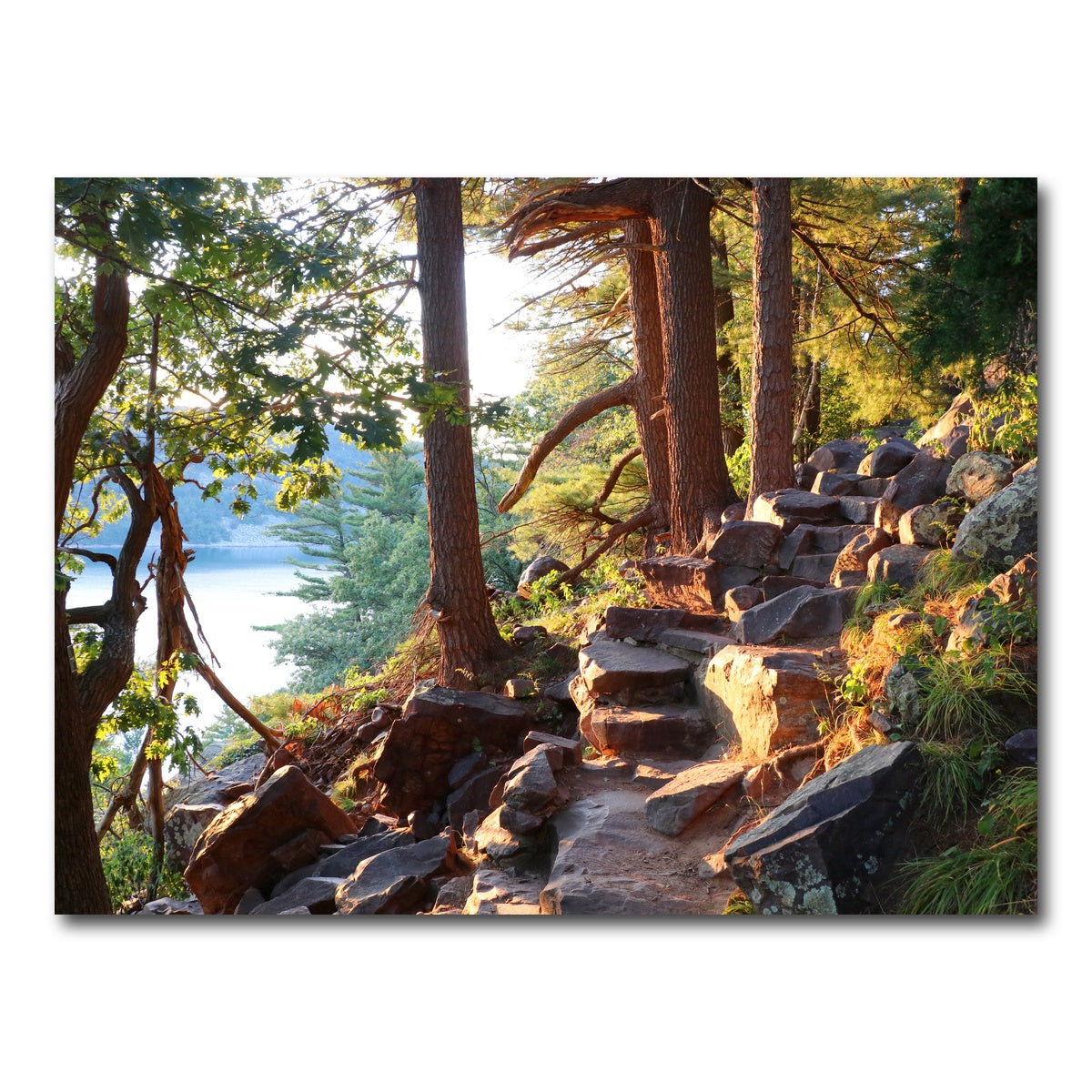 AUTO-MOCKUP WHITE | Ice Age Trail | 1 Piece | Gallery Wrap Canvas | group=4x3