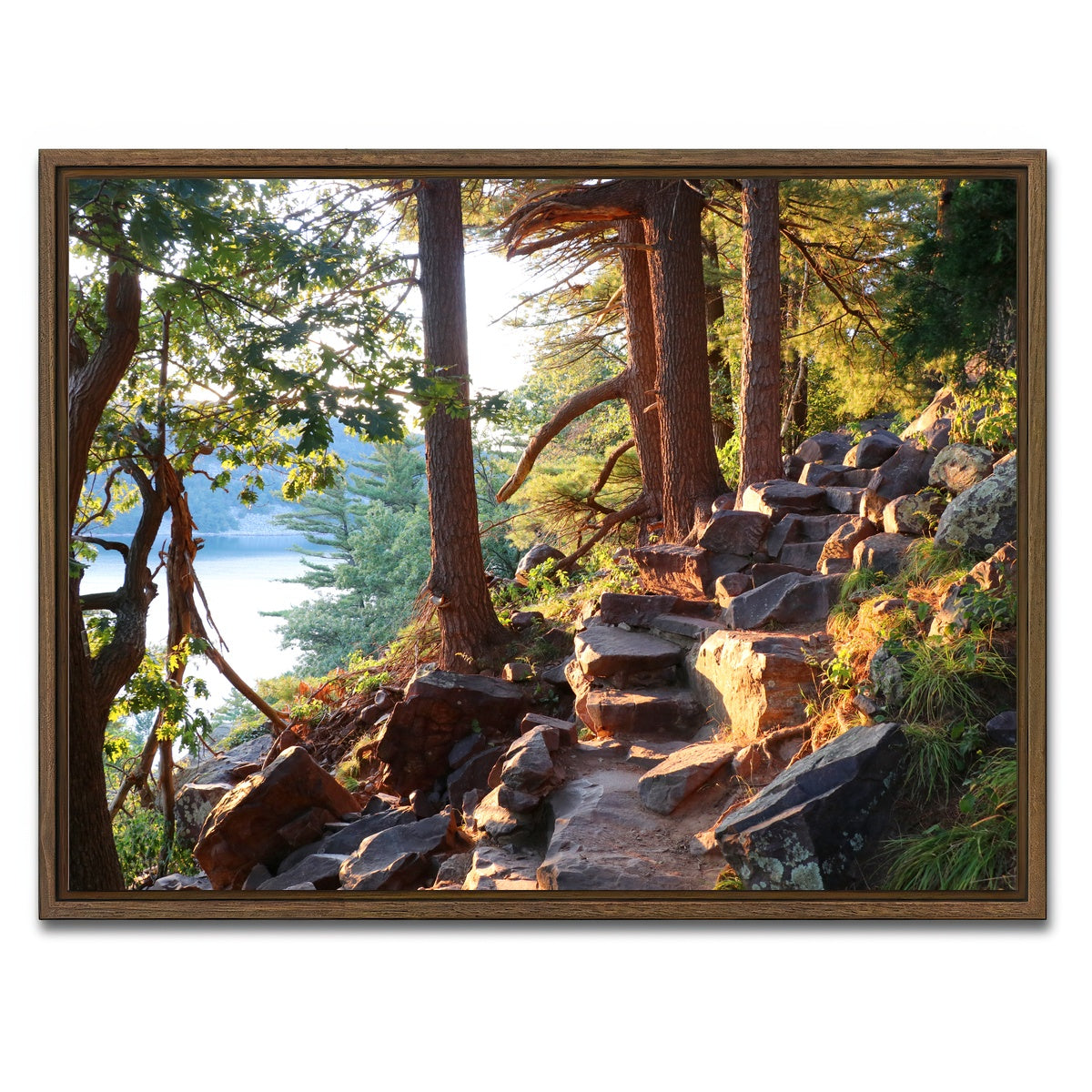 AUTO-MOCKUP WHITE | Ice Age Trail | 1 Piece | Walnut Framed Canvas | group=4x3