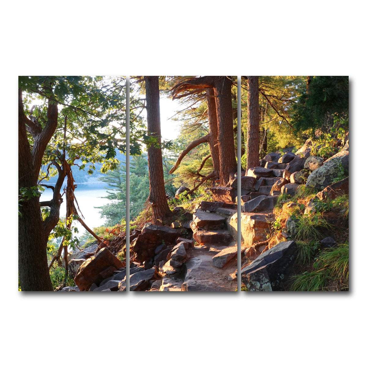 AUTO-MOCKUP WHITE | Ice Age Trail | 3 Piece | Gallery Wrap Canvas | group=12x24