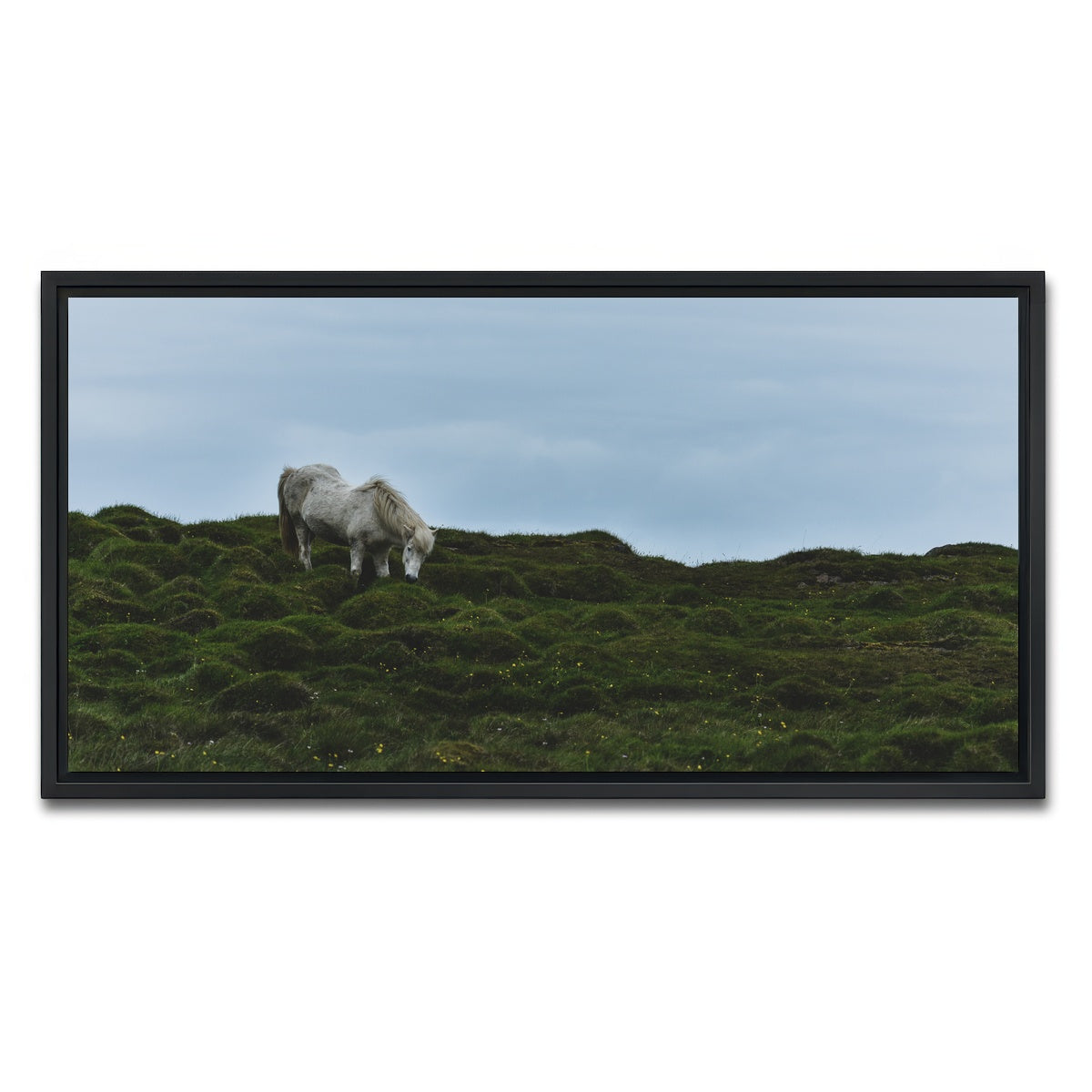 AUTO-MOCKUP WHITE | Icelandic Horse | 1 Piece | Black Framed Canvas | group=2x1