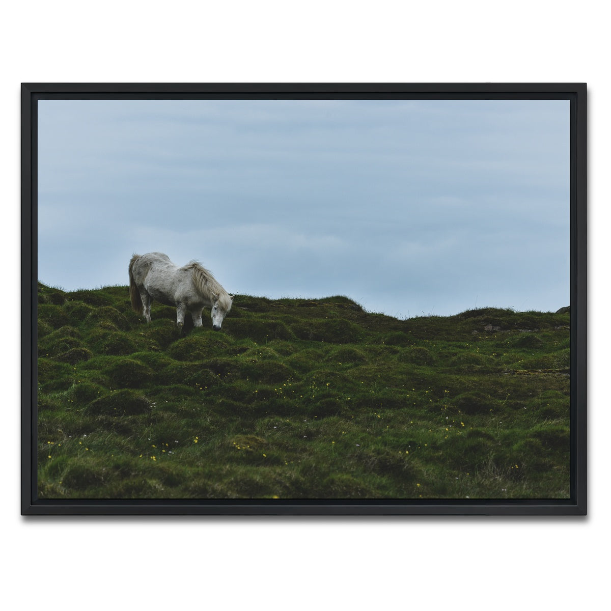 AUTO-MOCKUP WHITE | Icelandic Horse | 1 Piece | Black Framed Canvas | group=4x3
