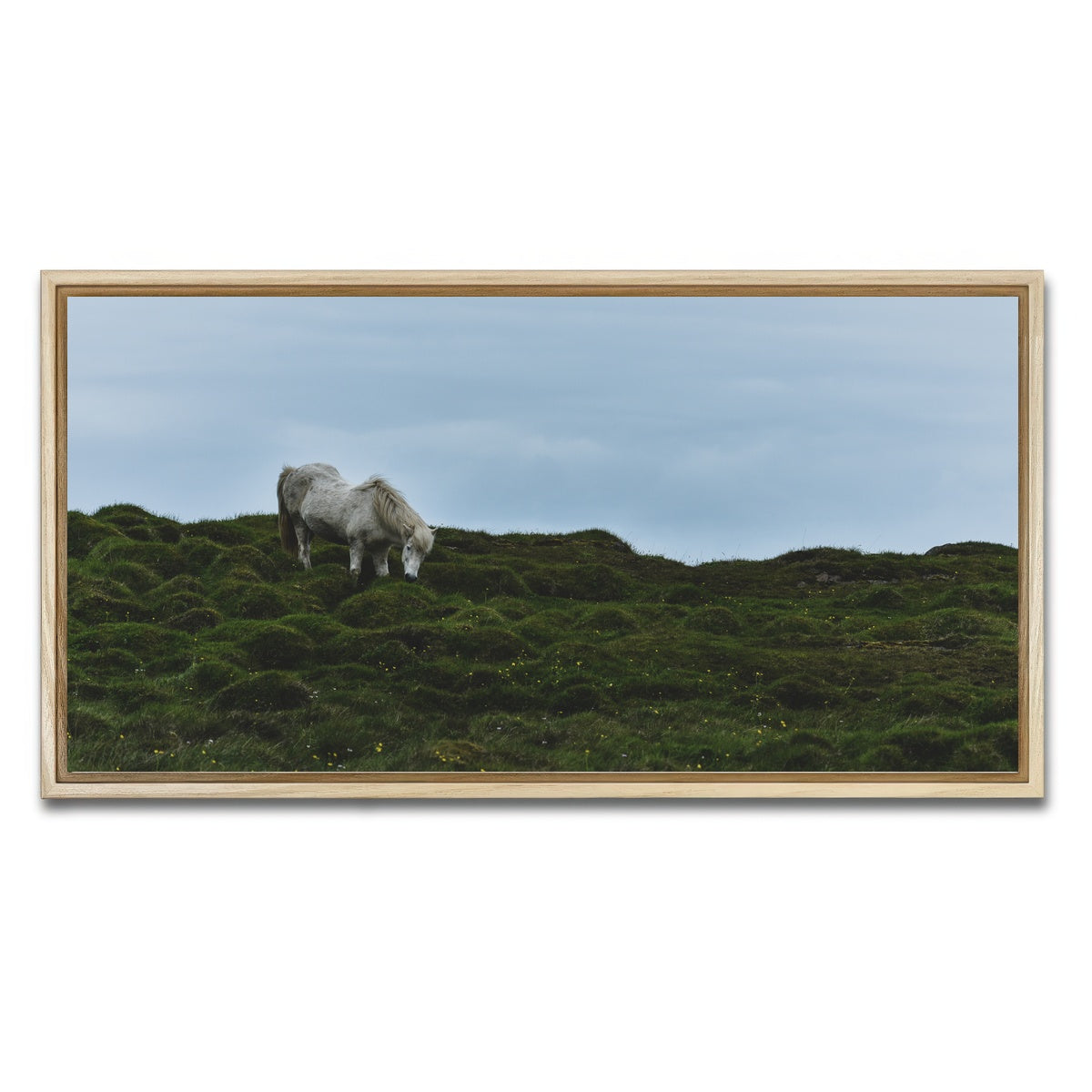 AUTO-MOCKUP WHITE | Icelandic Horse | 1 Piece | Natural Framed Canvas | group=2x1