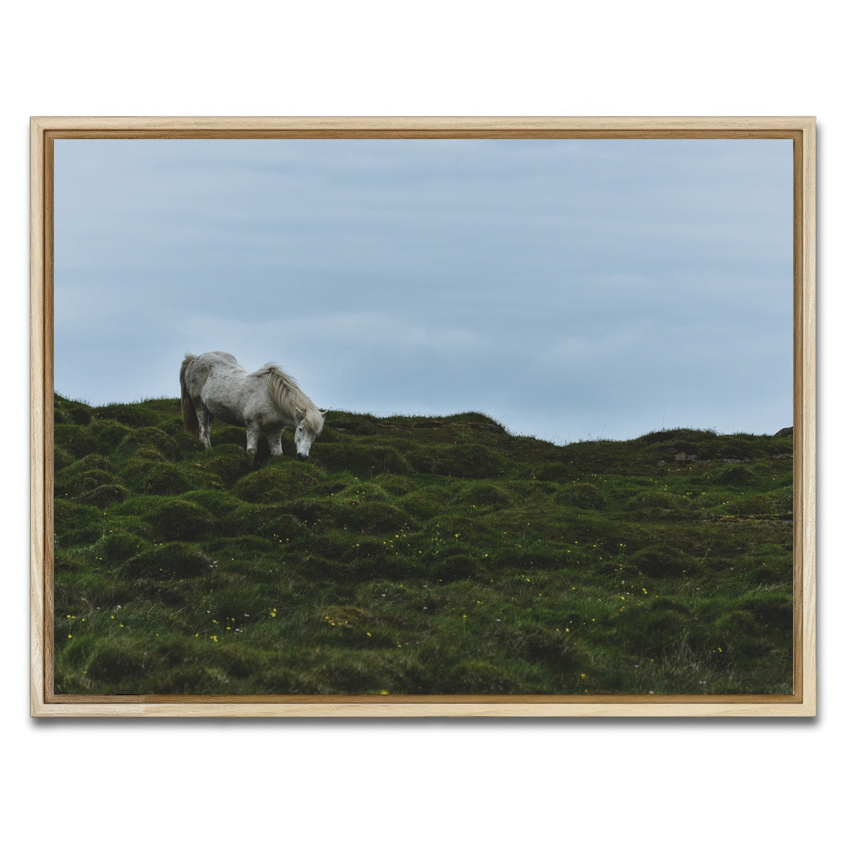 AUTO-MOCKUP WHITE | Icelandic Horse | 1 Piece | Natural Framed Canvas | group=4x3