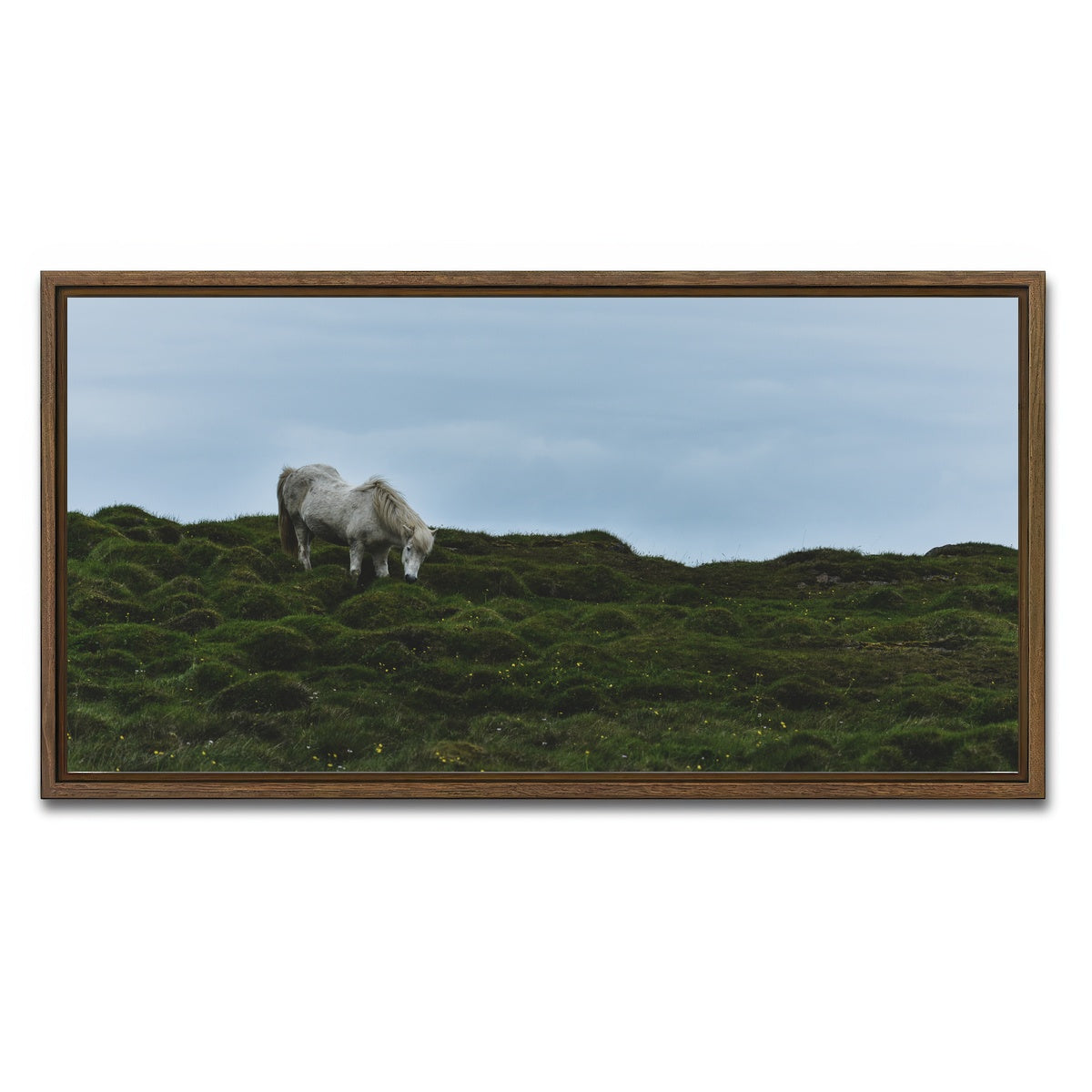 AUTO-MOCKUP WHITE | Icelandic Horse | 1 Piece | Walnut Framed Canvas | group=2x1