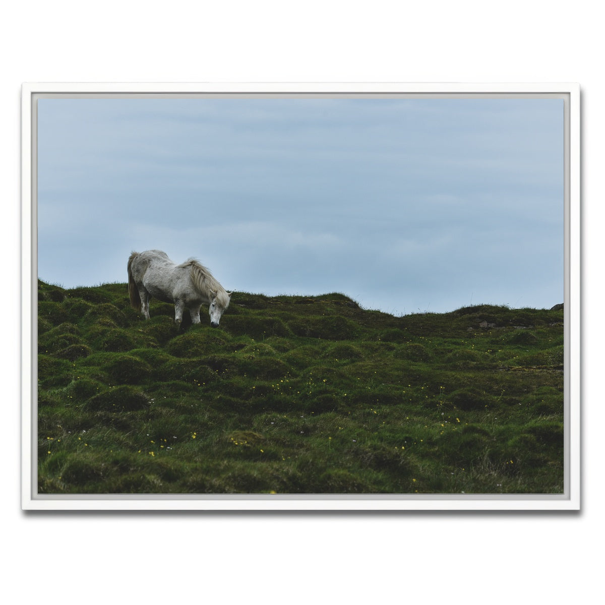 AUTO-MOCKUP WHITE | Icelandic Horse | 1 Piece | White Framed Canvas | group=4x3