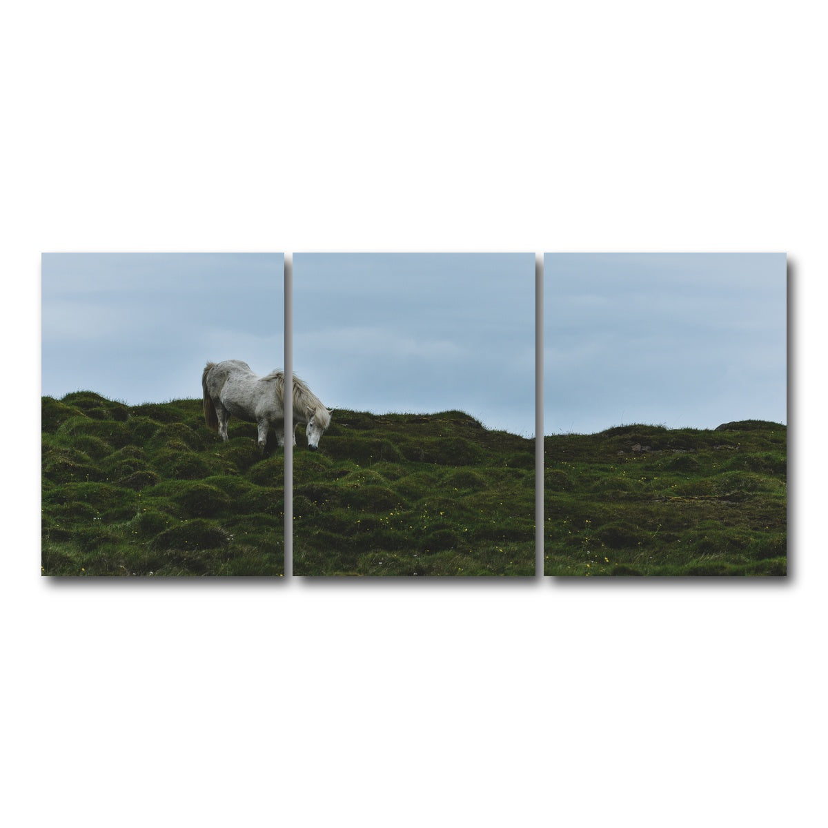 AUTO-MOCKUP WHITE | Icelandic Horse | 3 Piece | Gallery Wrap Canvas | group=18x24