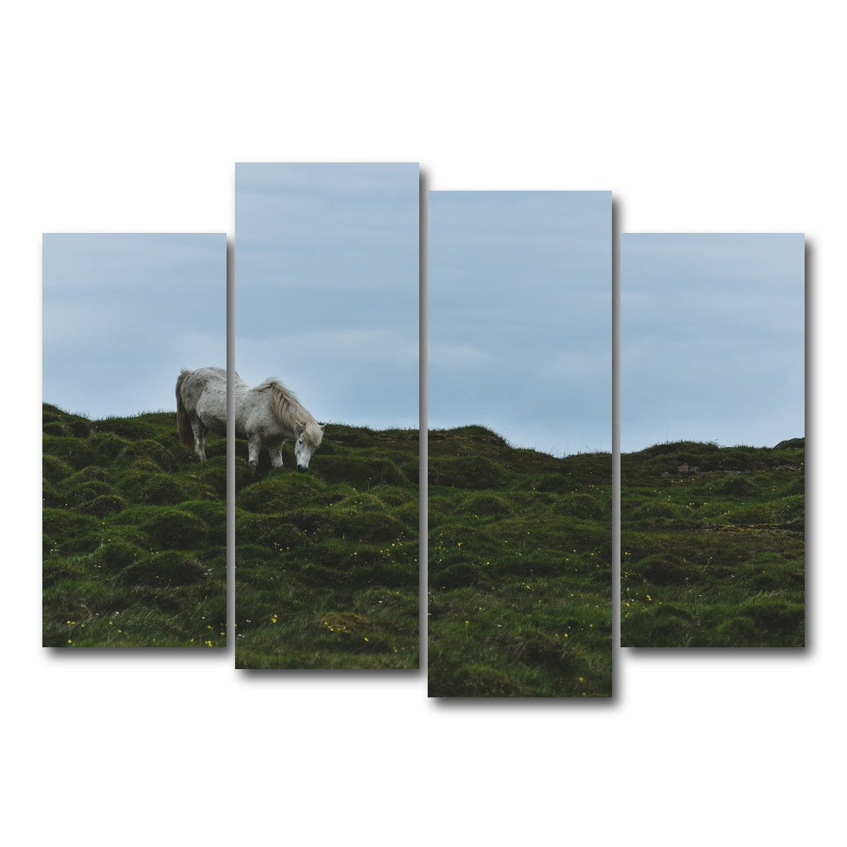 AUTO-MOCKUP WHITE | Icelandic Horse | 4 Piece | Gallery Wrap Canvas | group=4_normal