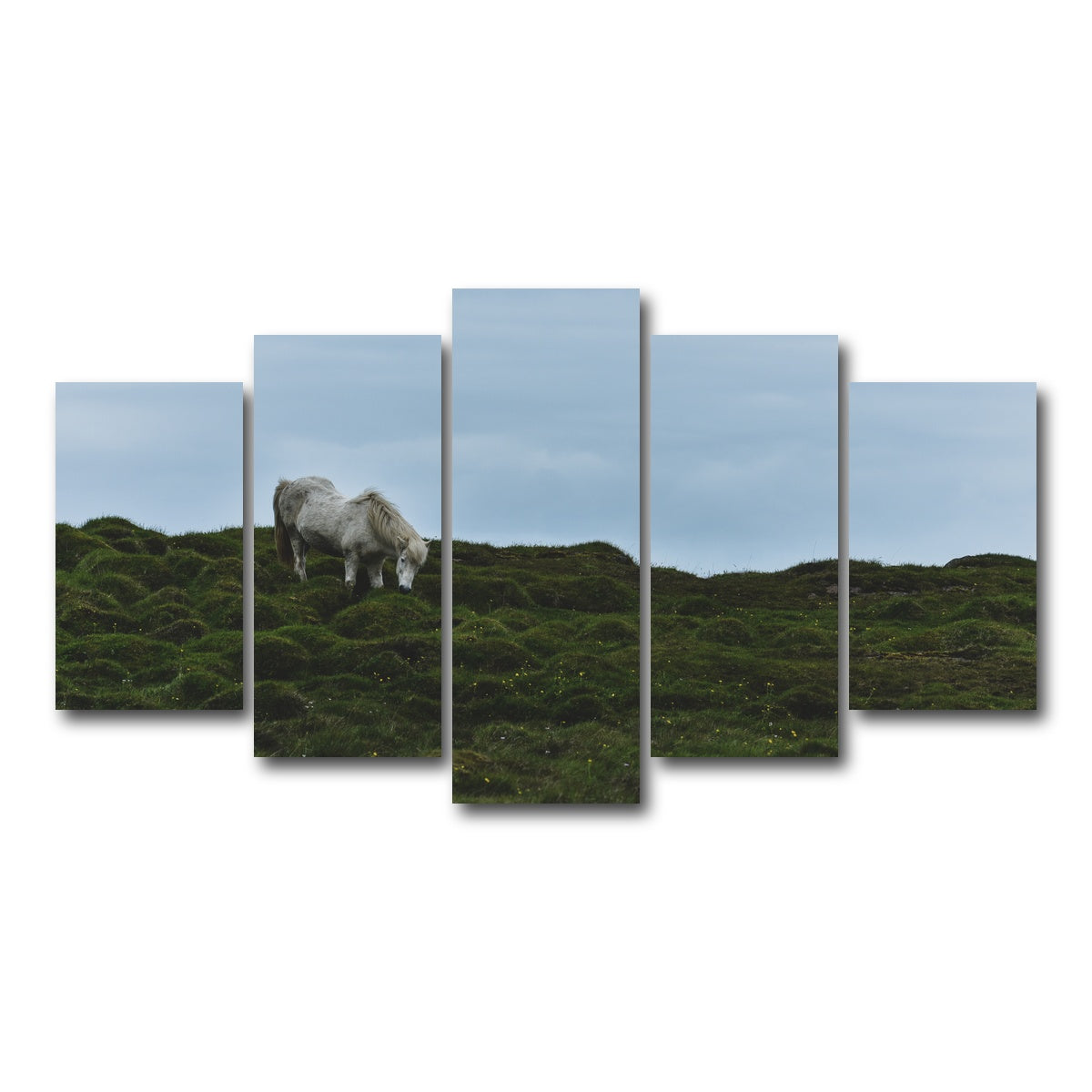 AUTO-MOCKUP WHITE | Icelandic Horse | 5 Piece | Gallery Wrap Canvas | group=5_normal
