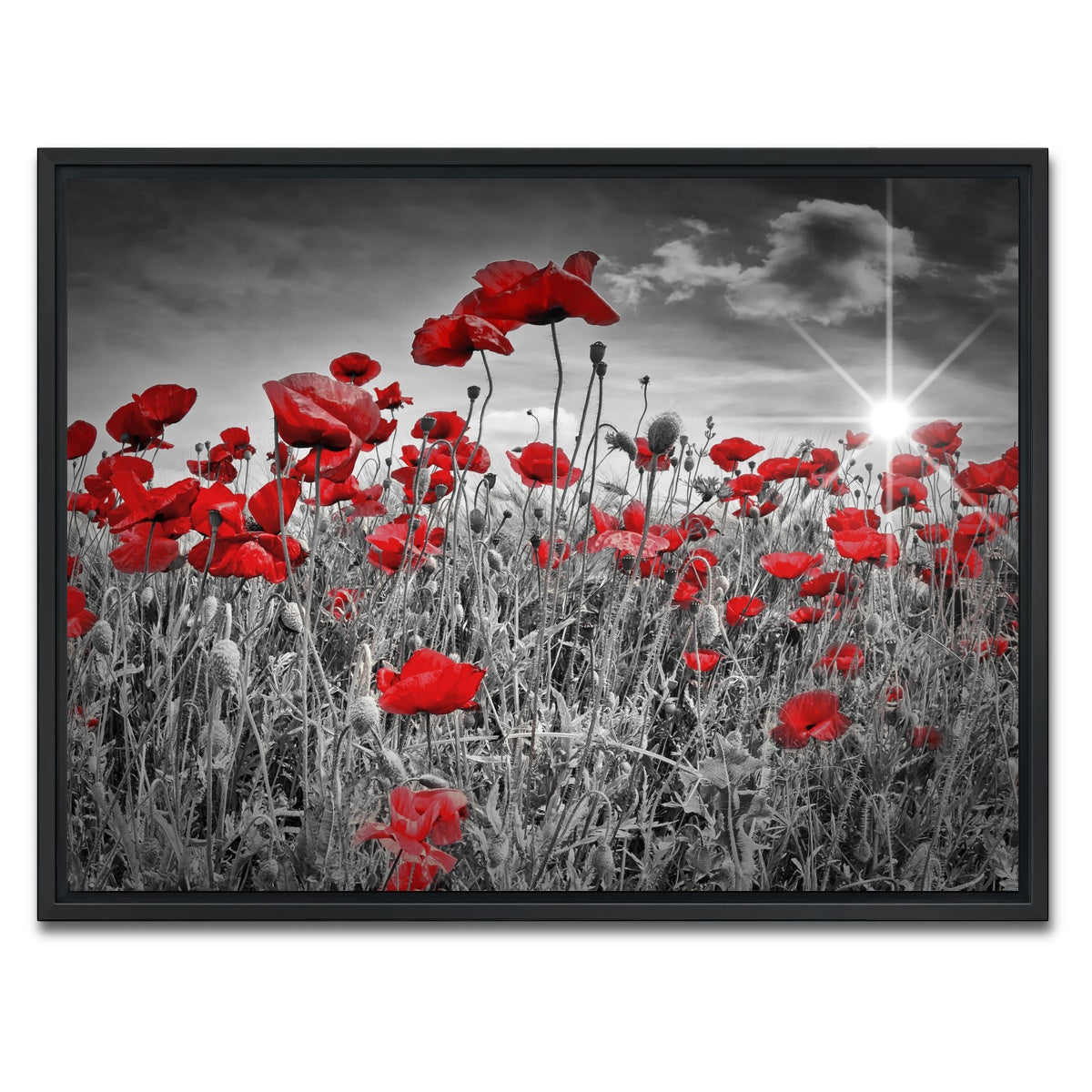 AUTO-MOCKUP WHITE | Idyllic Field of Poppies with Sun | 1 Piece | Black Framed Canvas | group=4x3