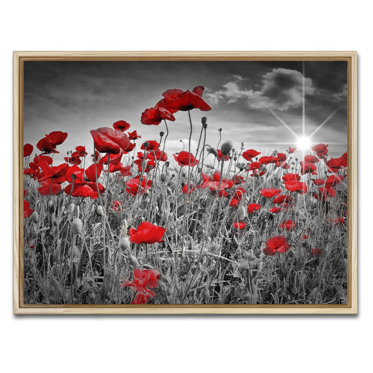 AUTO-MOCKUP WHITE | Idyllic Field of Poppies with Sun | 1 Piece | Natural Framed Canvas | group=4x3