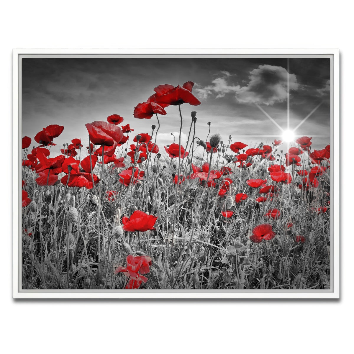 AUTO-MOCKUP WHITE | Idyllic Field of Poppies with Sun | 1 Piece | White Framed Canvas | group=4x3