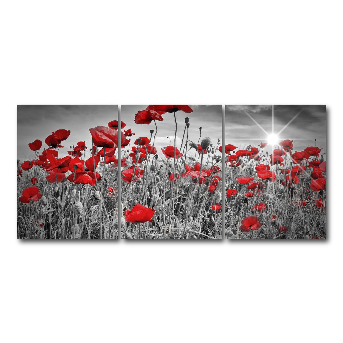 AUTO-MOCKUP WHITE | Idyllic Field of Poppies with Sun | 3 Piece | Gallery Wrap Canvas | group=18x24
