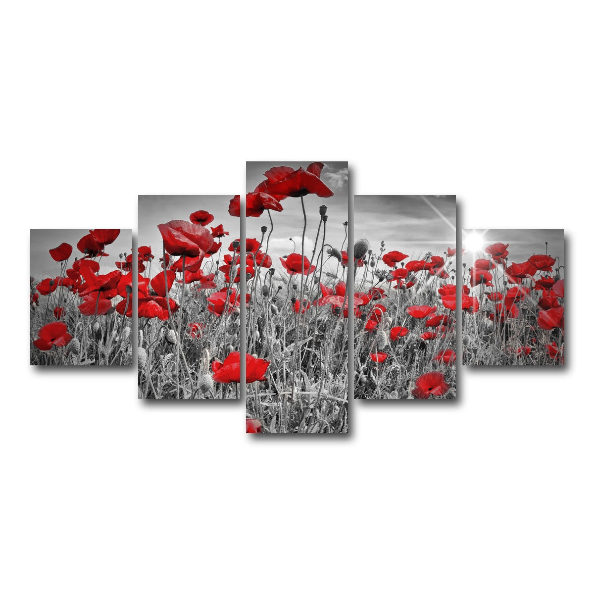 AUTO-MOCKUP WHITE | Idyllic Field of Poppies with Sun | 5 Piece | Gallery Wrap Canvas | group=5_short