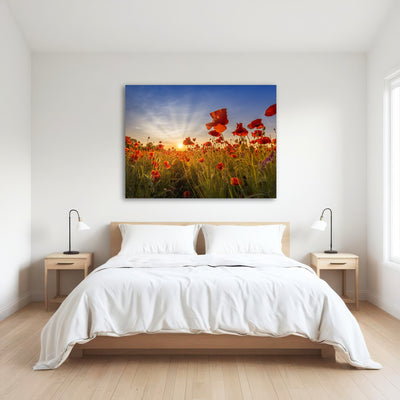 AUTO-MOCKUP ROOM | Idyllic sunset in a field of poppies