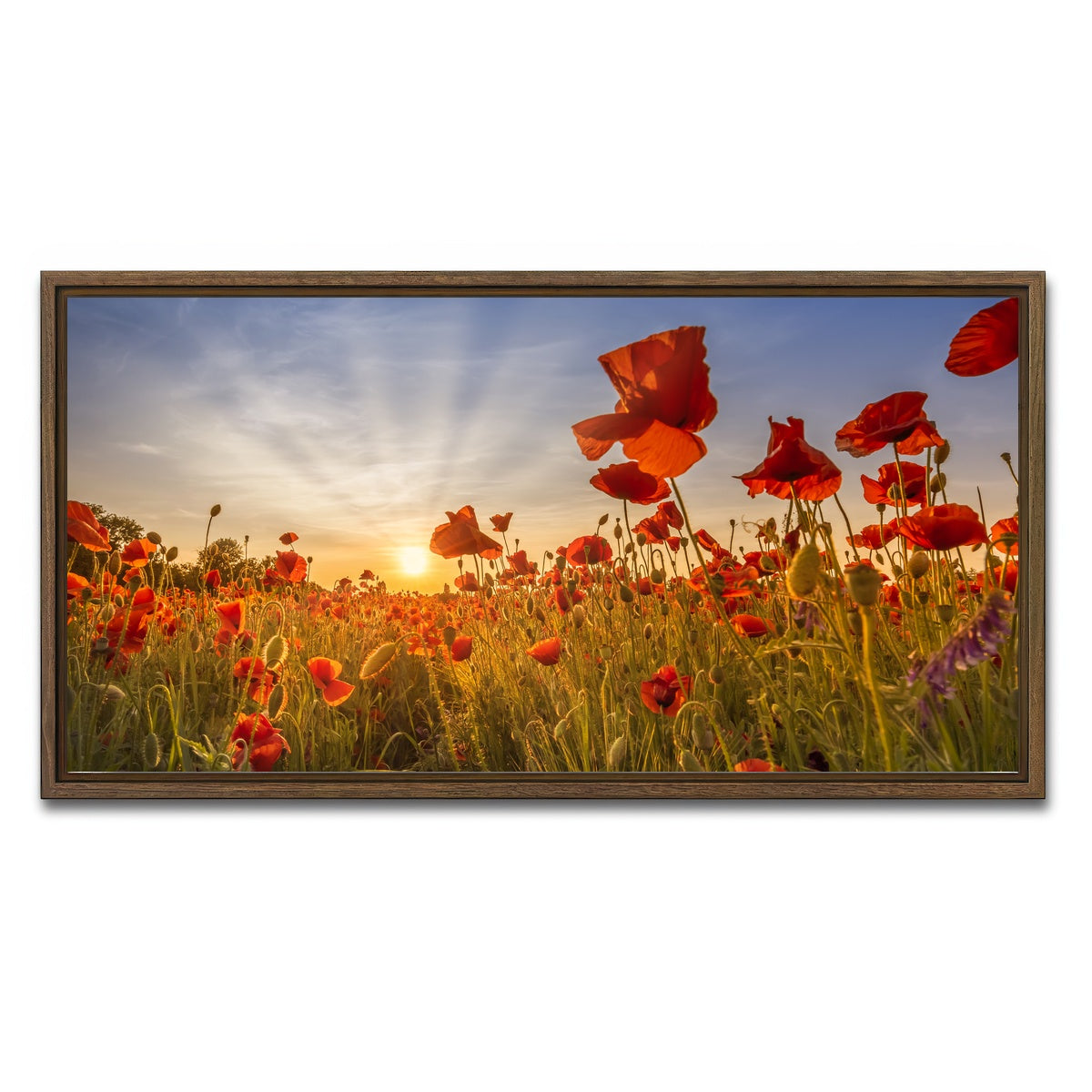 AUTO-MOCKUP WHITE | Idyllic sunset in a field of poppies | 1 Piece | Walnut Framed Canvas | group=2x1