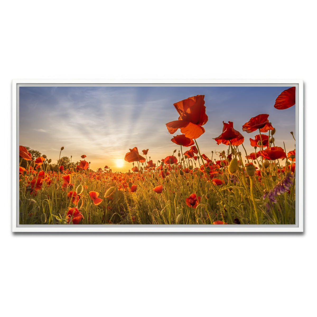 AUTO-MOCKUP WHITE | Idyllic sunset in a field of poppies | 1 Piece | White Framed Canvas | group=2x1