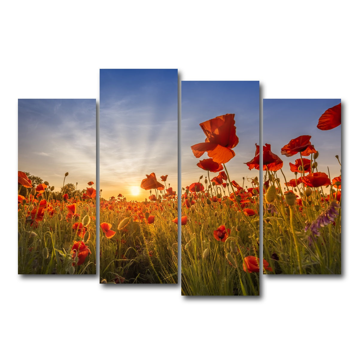 AUTO-MOCKUP WHITE | Idyllic sunset in a field of poppies | 4 Piece | Gallery Wrap Canvas | group=4_normal
