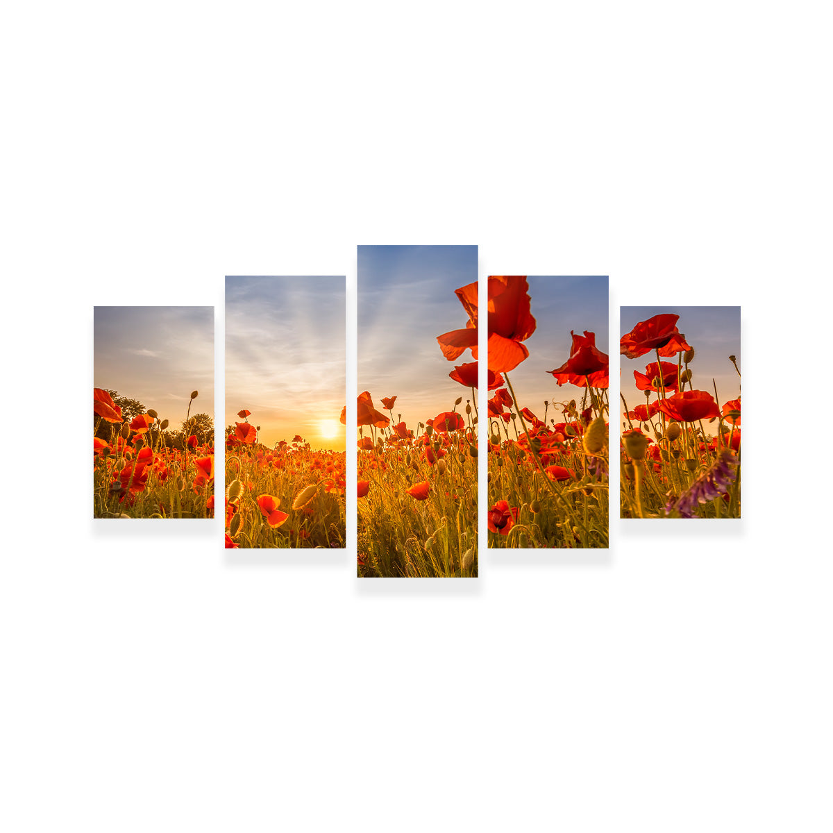 Idyllic Sunset in a Field of Poppies Wall Art
