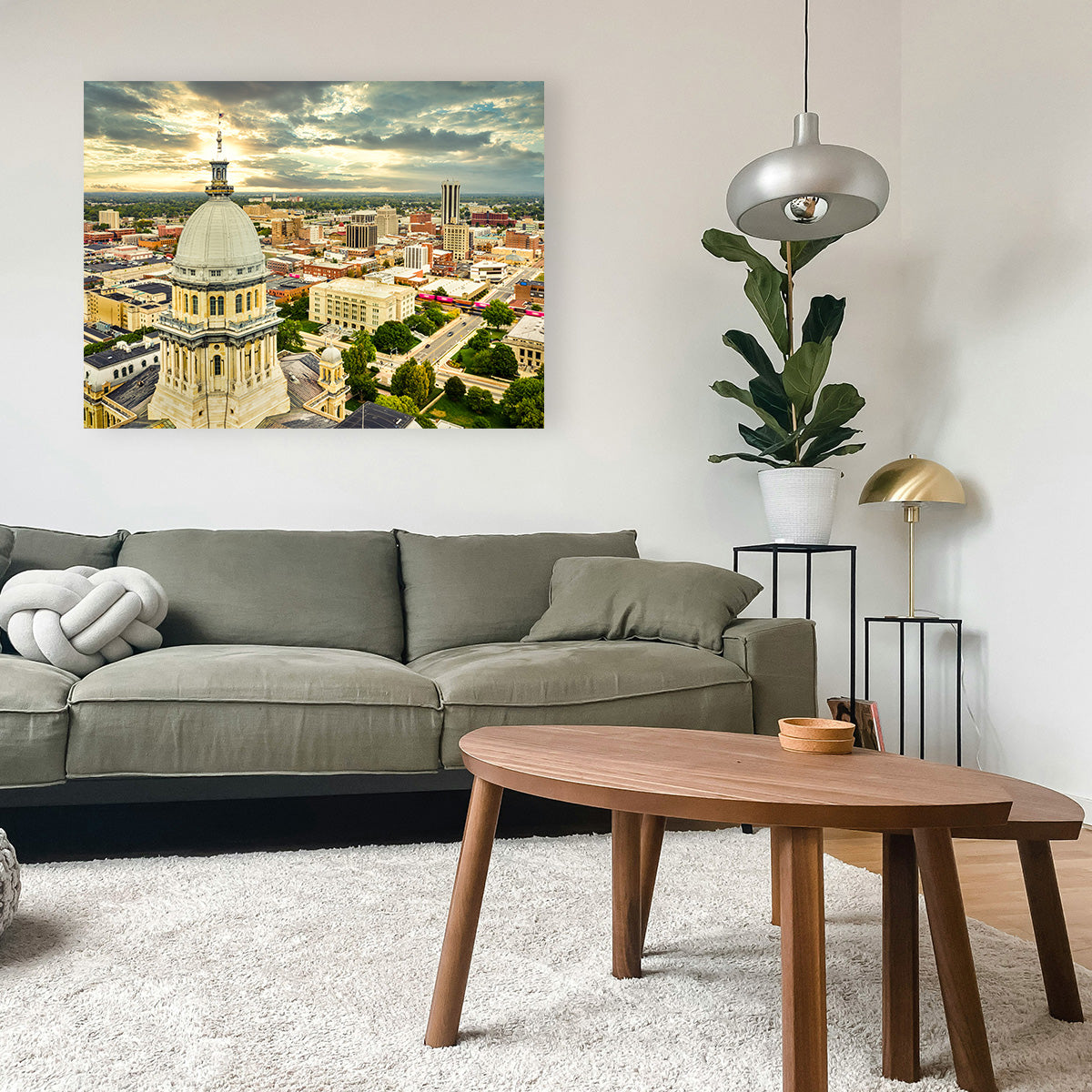 Illinois State Capitol & Springfield Wall Art