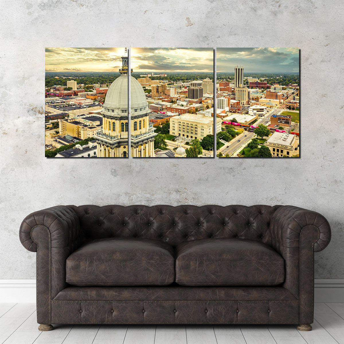 Illinois State Capitol & Springfield Wall Art