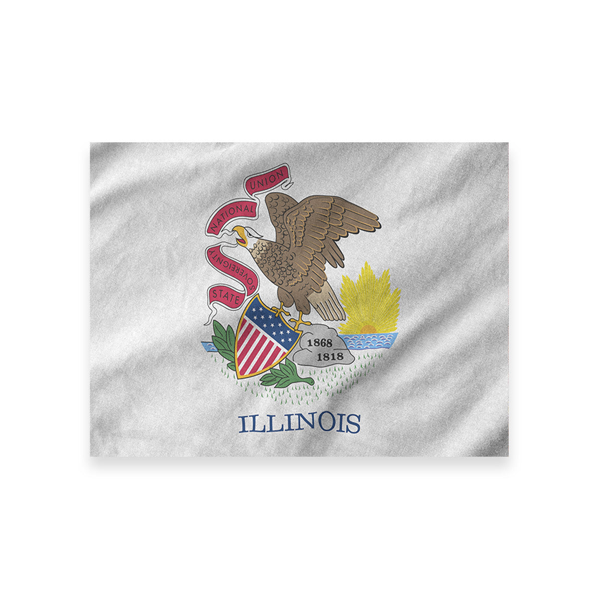 Illinois State Flag Wall Art