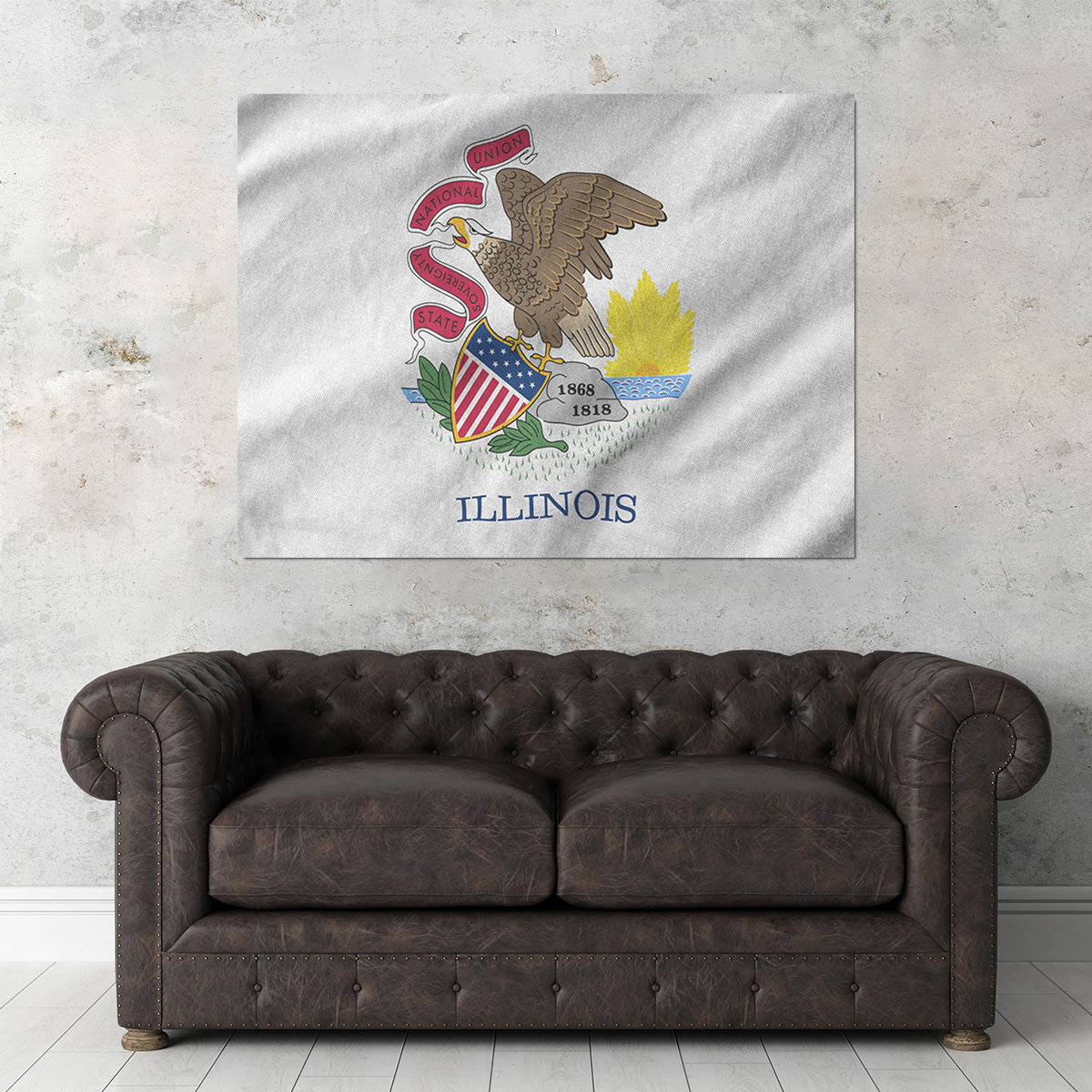 Illinois State Flag Wall Art
