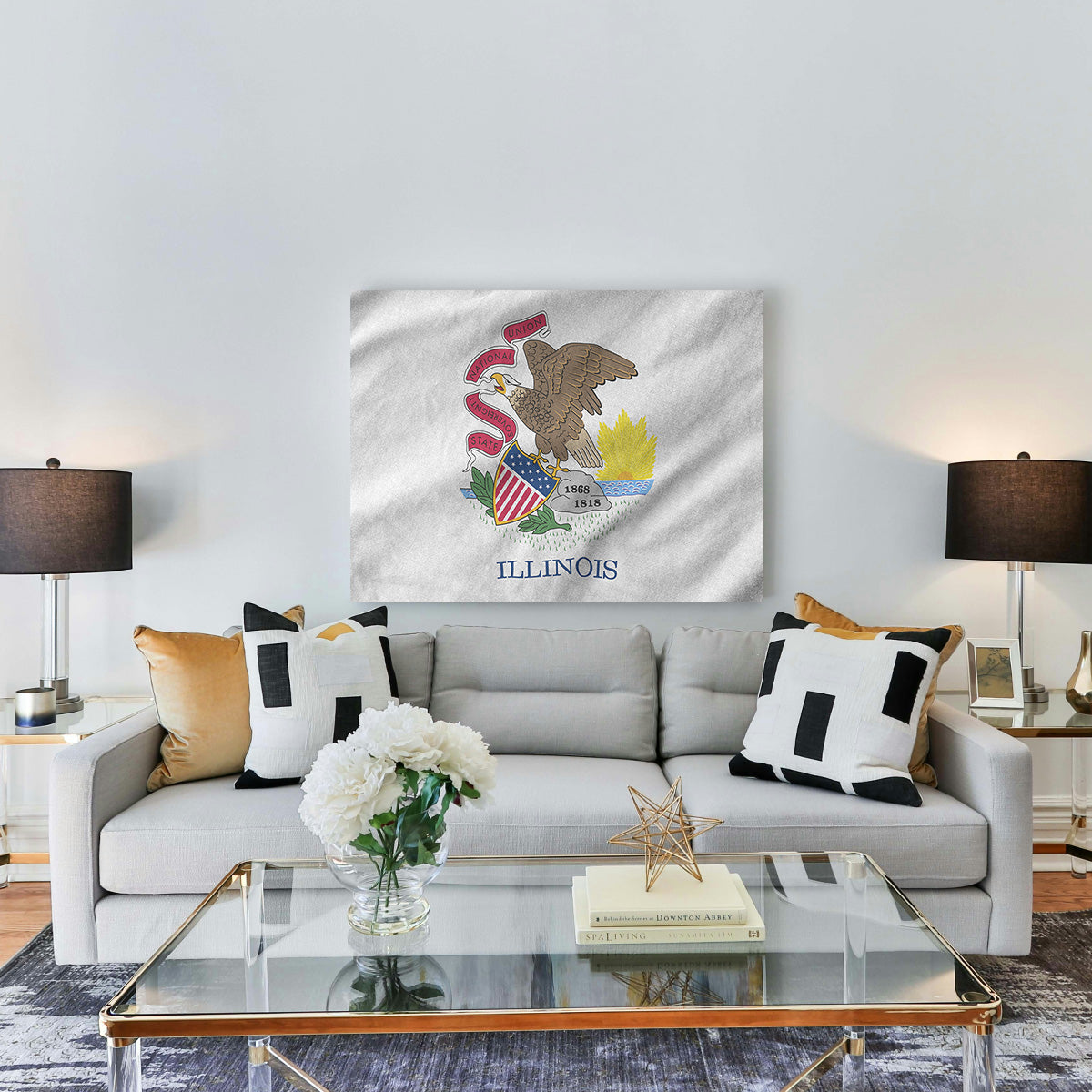 Illinois State Flag Wall Art