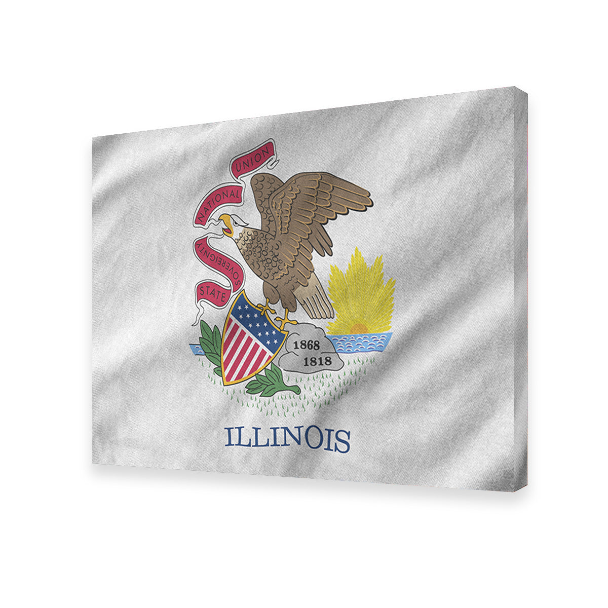 Illinois State Flag Wall Art