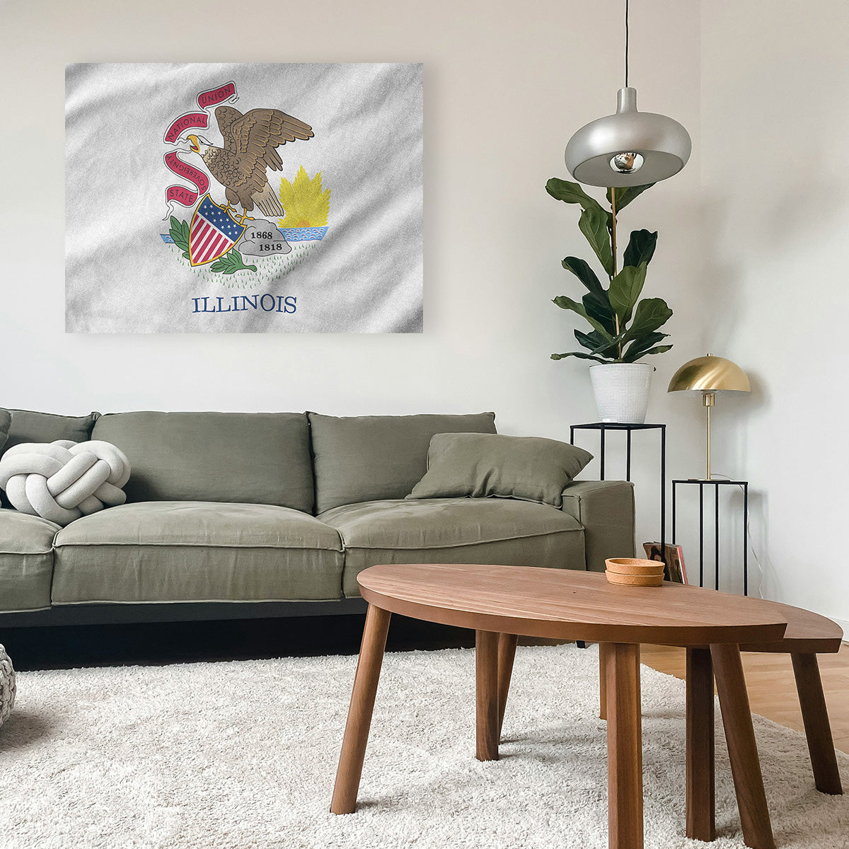 Illinois State Flag Wall Art