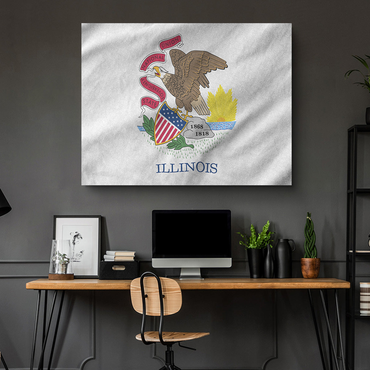 Illinois State Flag Wall Art