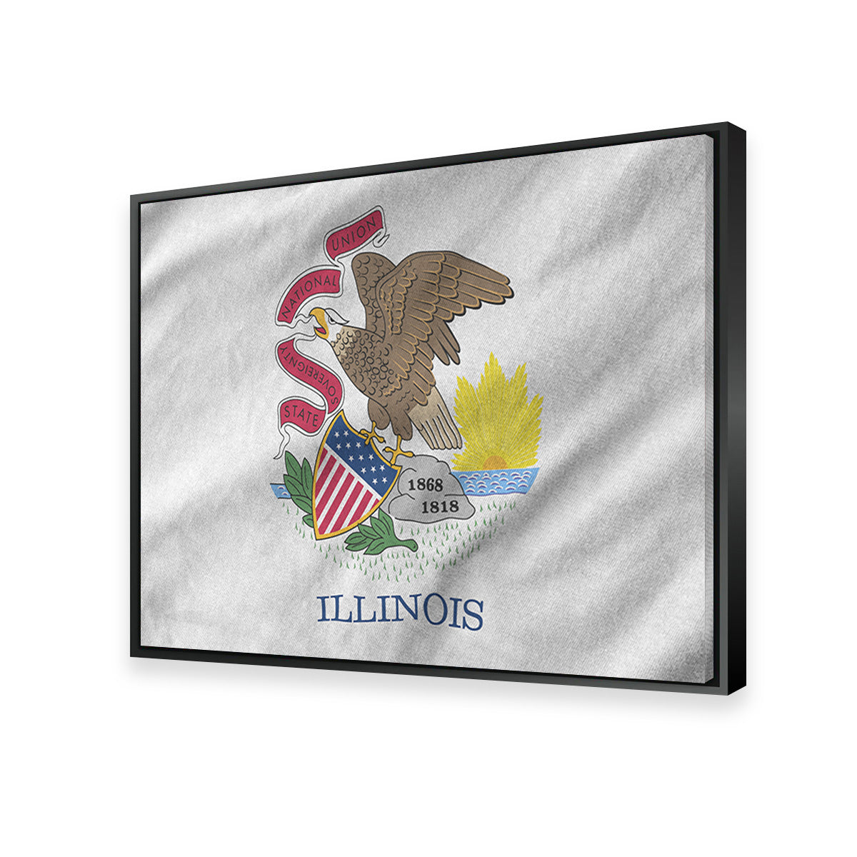 Illinois State Flag Wall Art