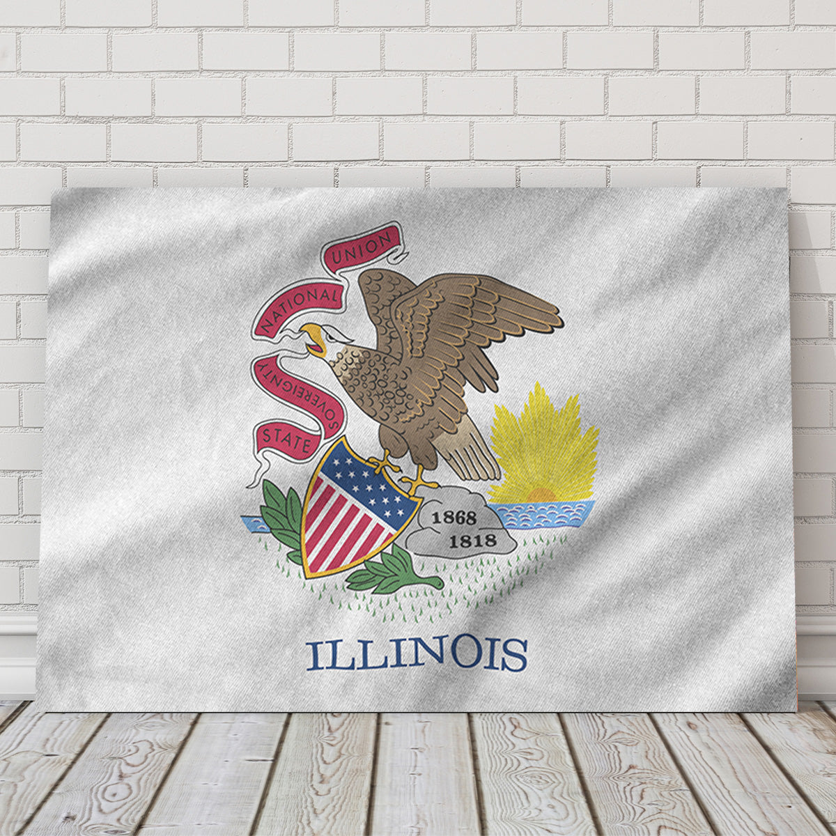 Illinois State Flag Wall Art