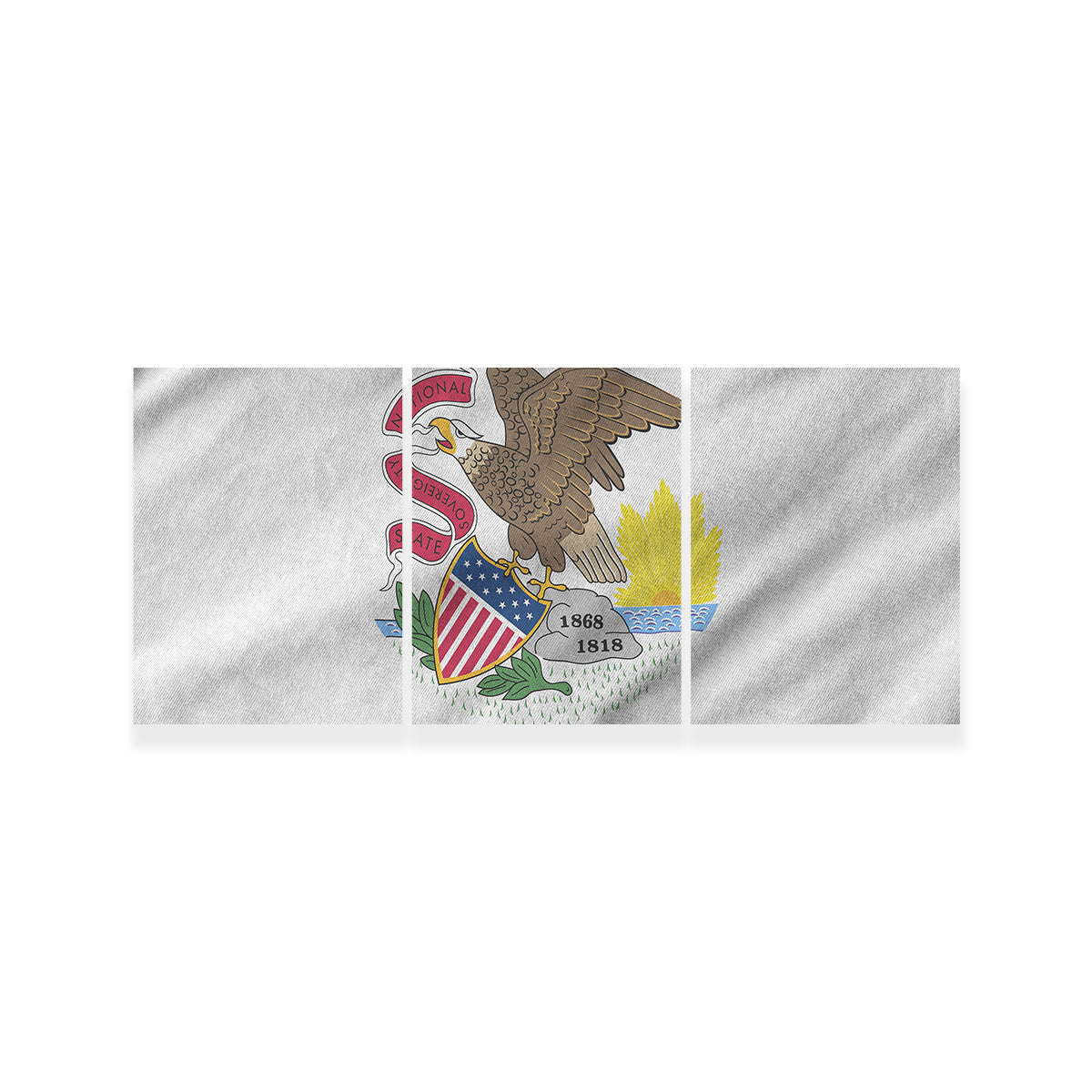 Illinois State Flag Wall Art