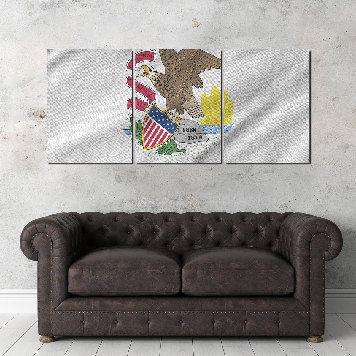 Illinois State Flag Wall Art
