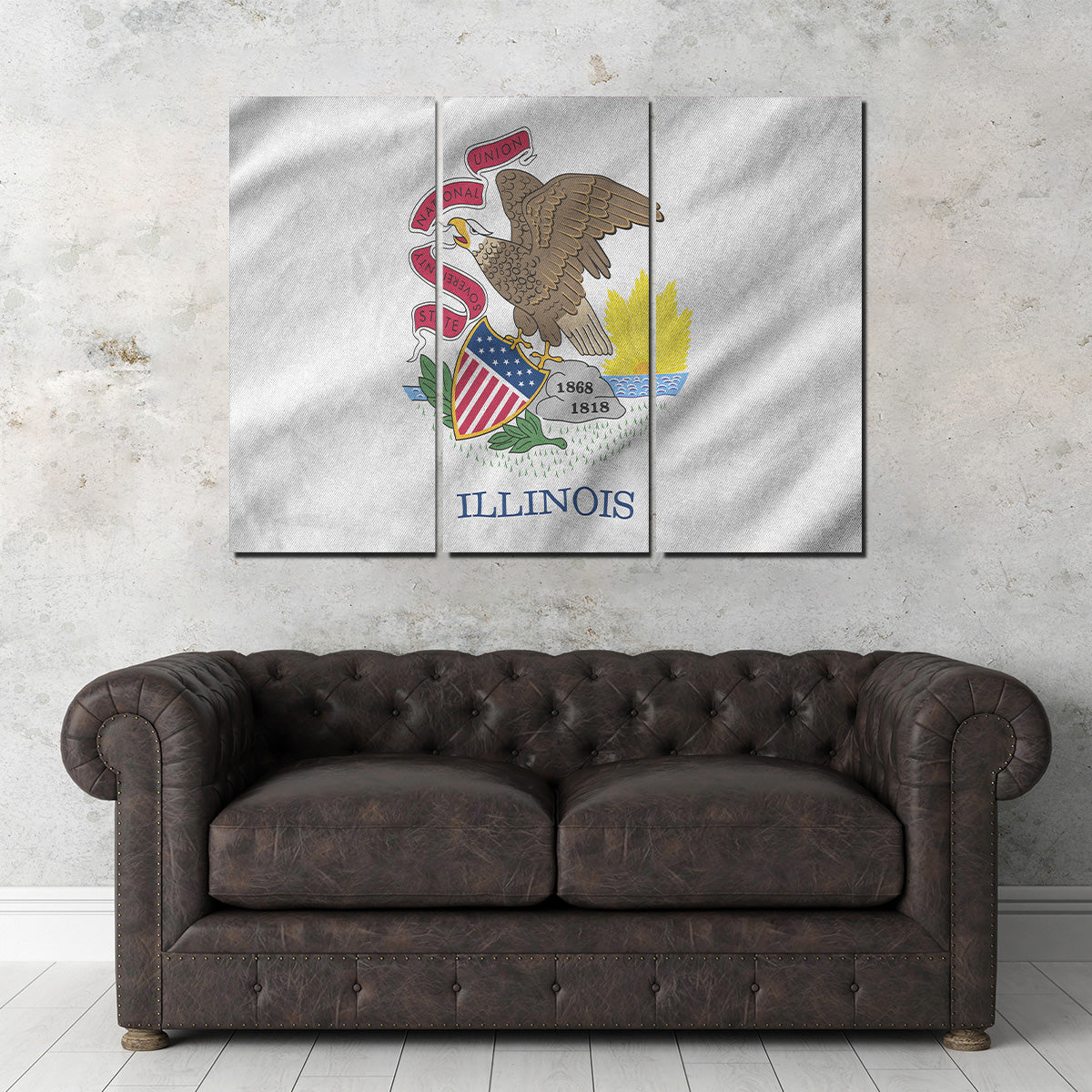 Illinois State Flag Wall Art