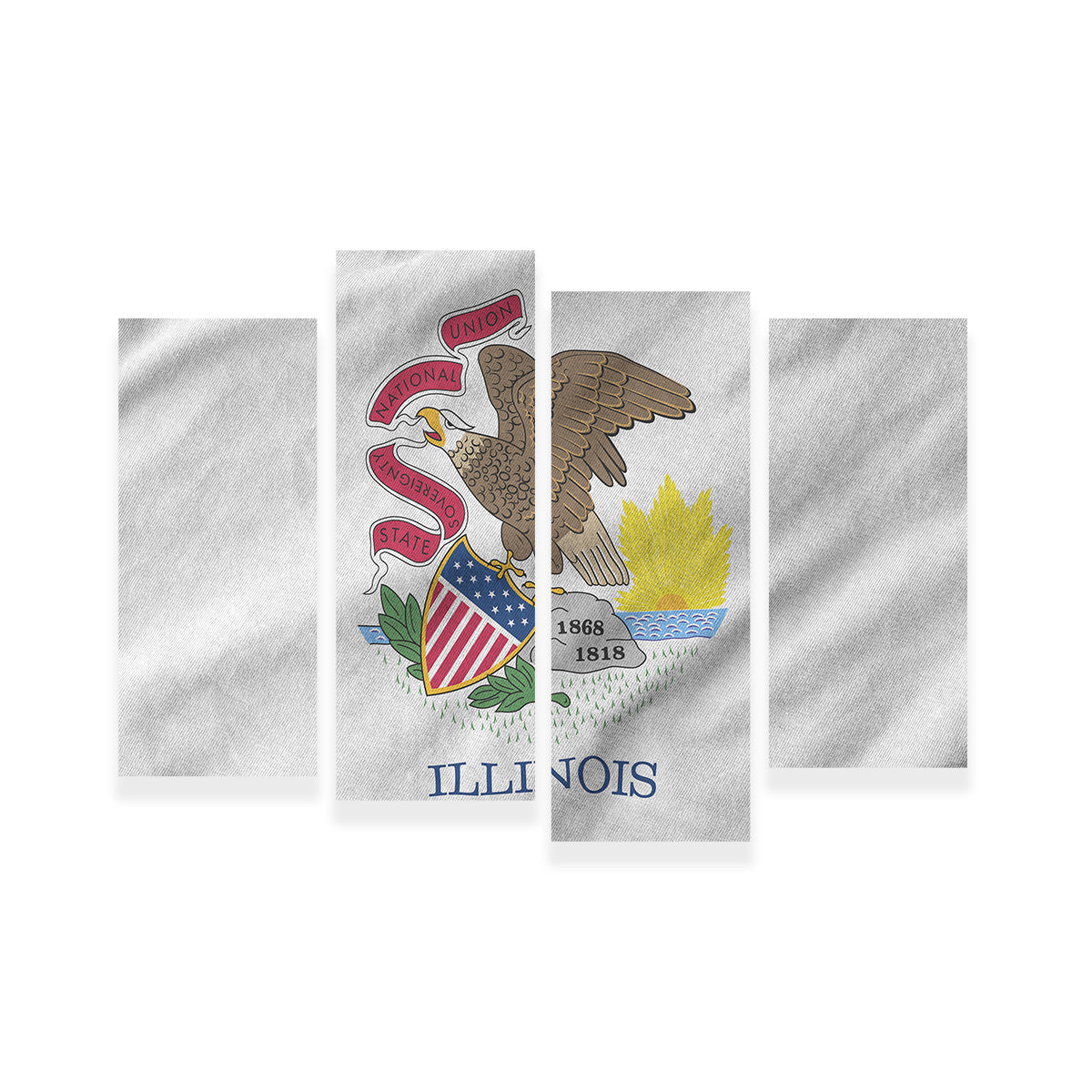 Illinois State Flag Wall Art