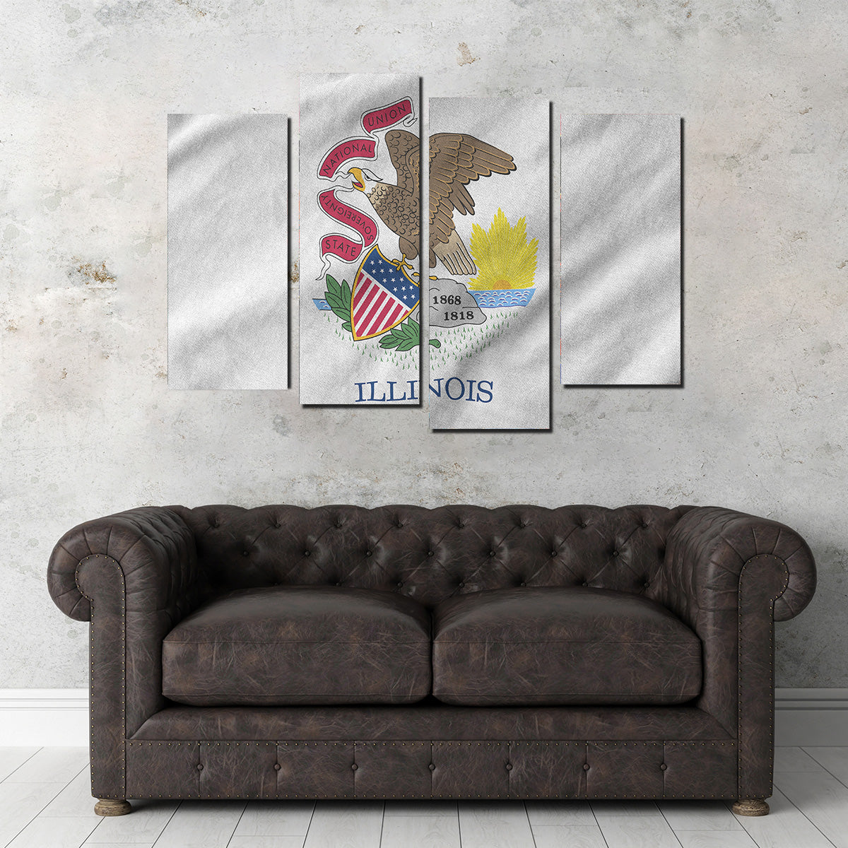 Illinois State Flag Wall Art
