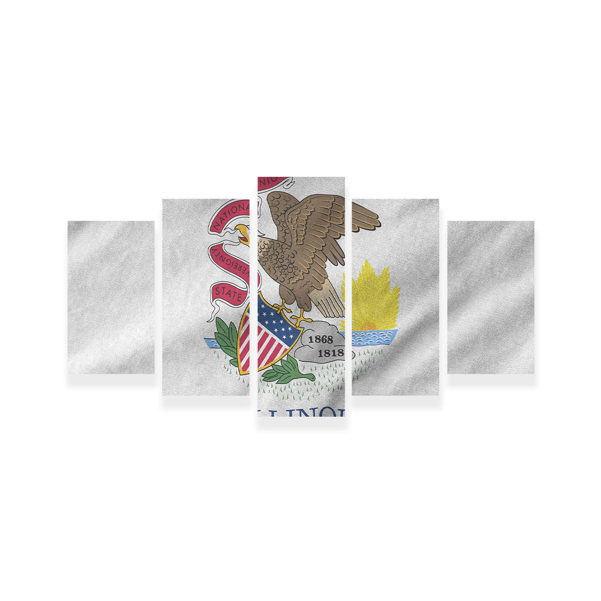 Illinois State Flag Wall Art