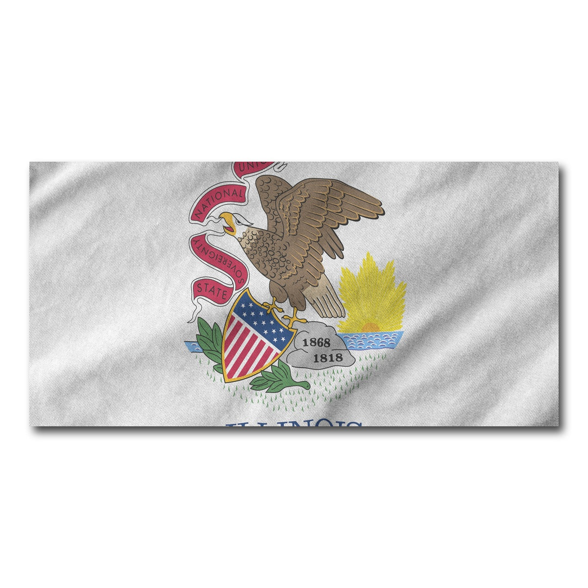 AUTO-MOCKUP WHITE | Illinois State Flag | 1 Piece | Gallery Wrap Canvas | group=2x1