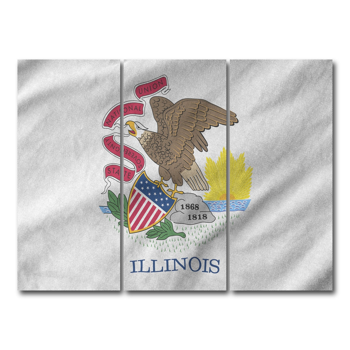AUTO-MOCKUP WHITE | Illinois State Flag | 3 Piece | Gallery Wrap Canvas | group=8x18