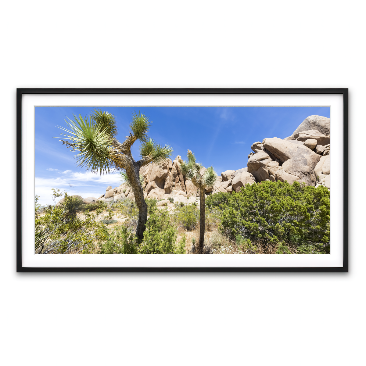 Framed Print 2x1 Black