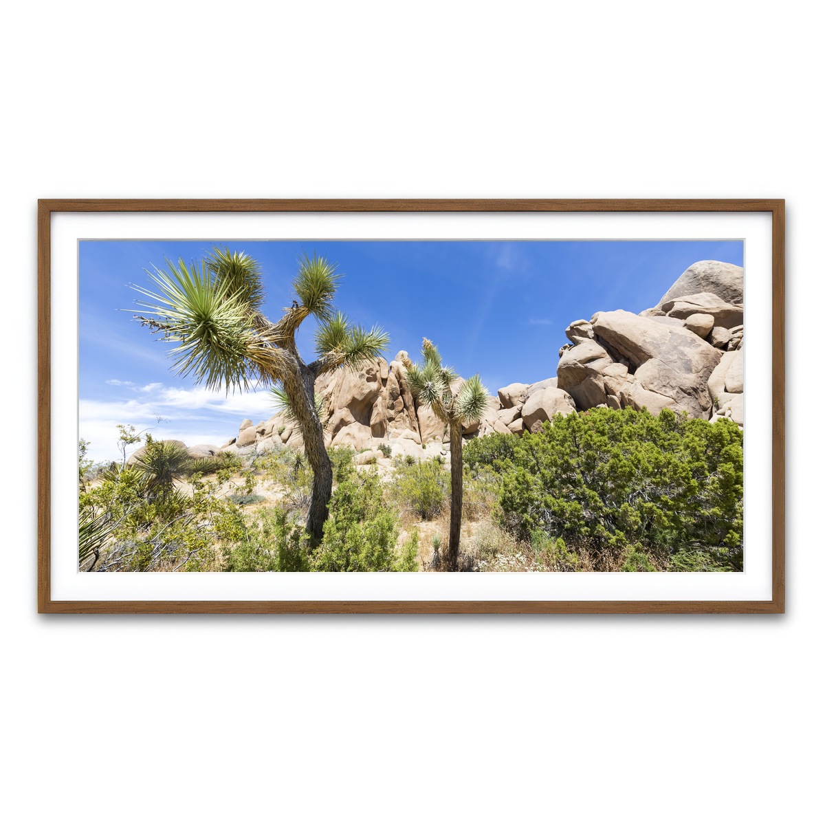 Framed Print 2x1 Walnut
