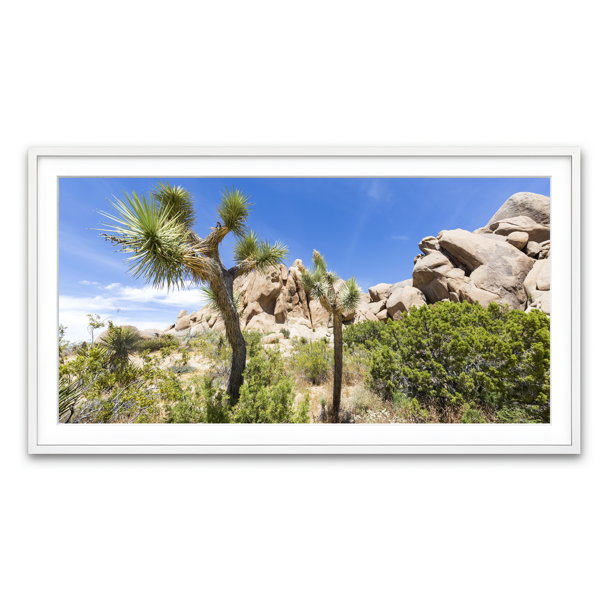 Framed Print 2x1 White